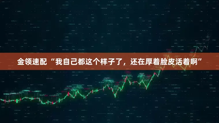 金领速配 “我自己都这个样子了，还在厚着脸皮活着啊”