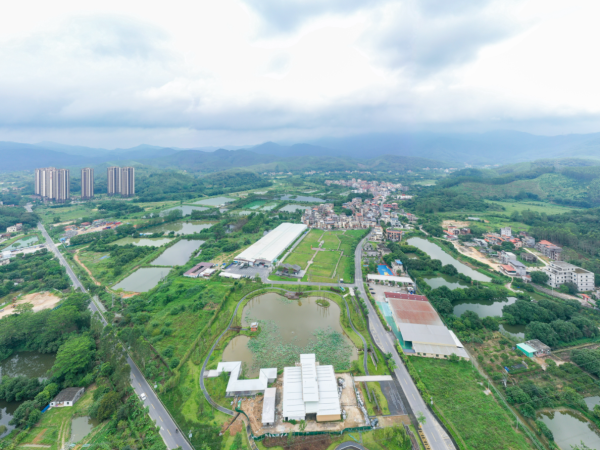 汇操盘 博罗：践行绿色理念 共建“美丽庭院”